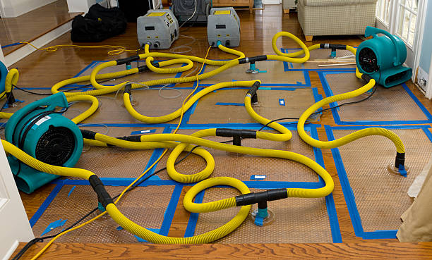 Professional Sewage Cleanup technician working in Bigelow, MN
